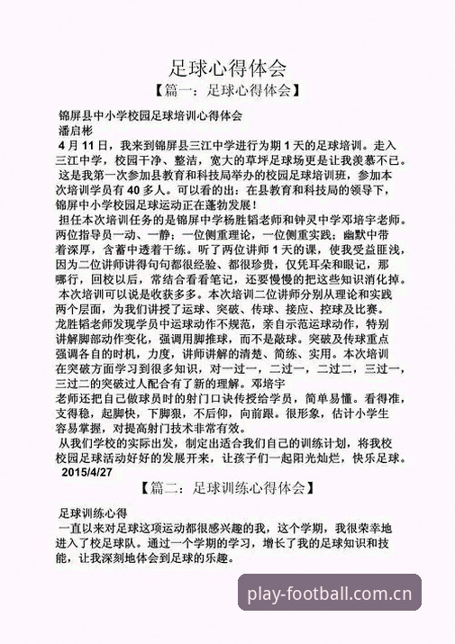 赛场不只有胜负：一个老球迷用法德数据换得观赛心得
